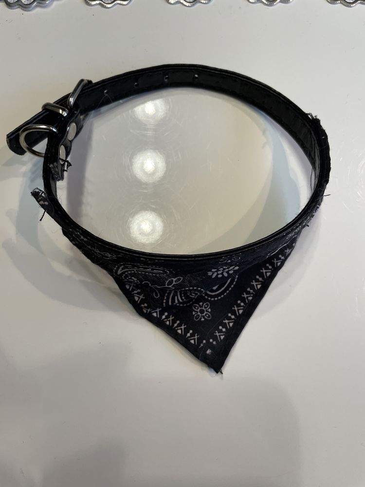 Bandana husta obroża dla kota