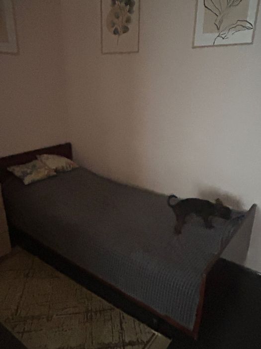 Ліжко, старе, з матрасом