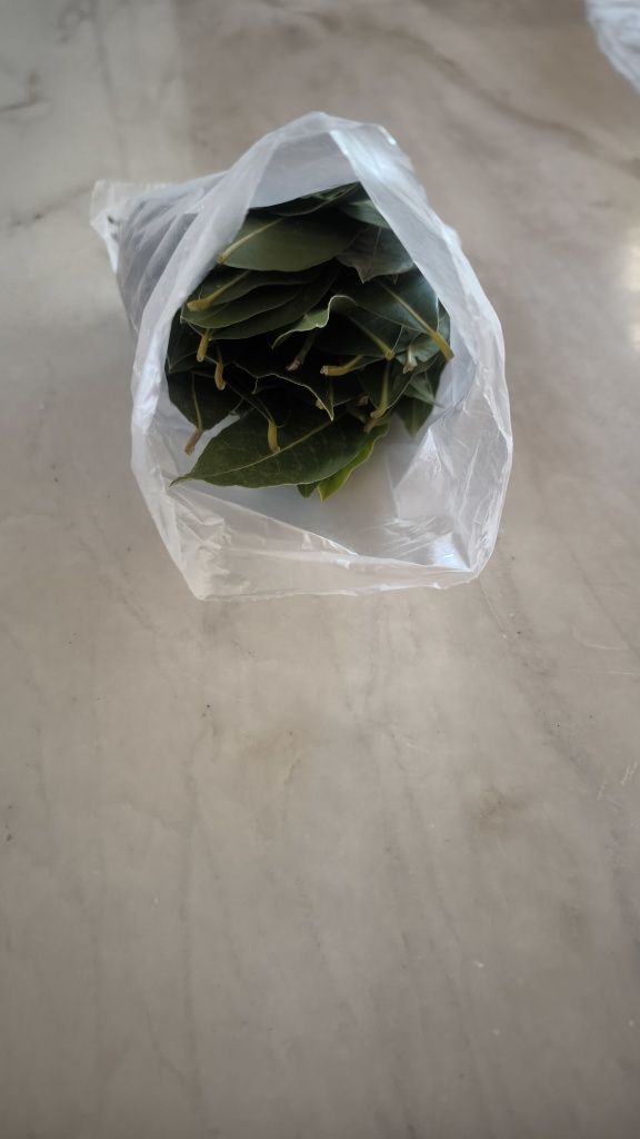 Vende-se louro verde