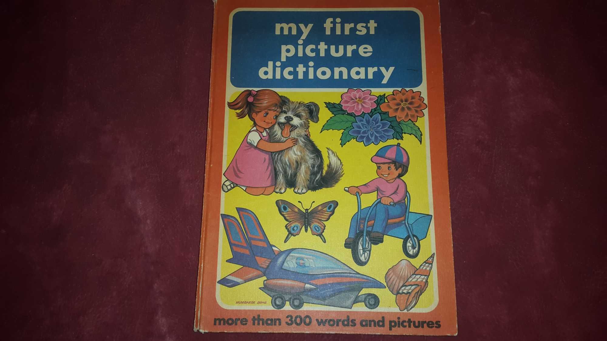 My first picture dictionary. Английский словарь в картинках