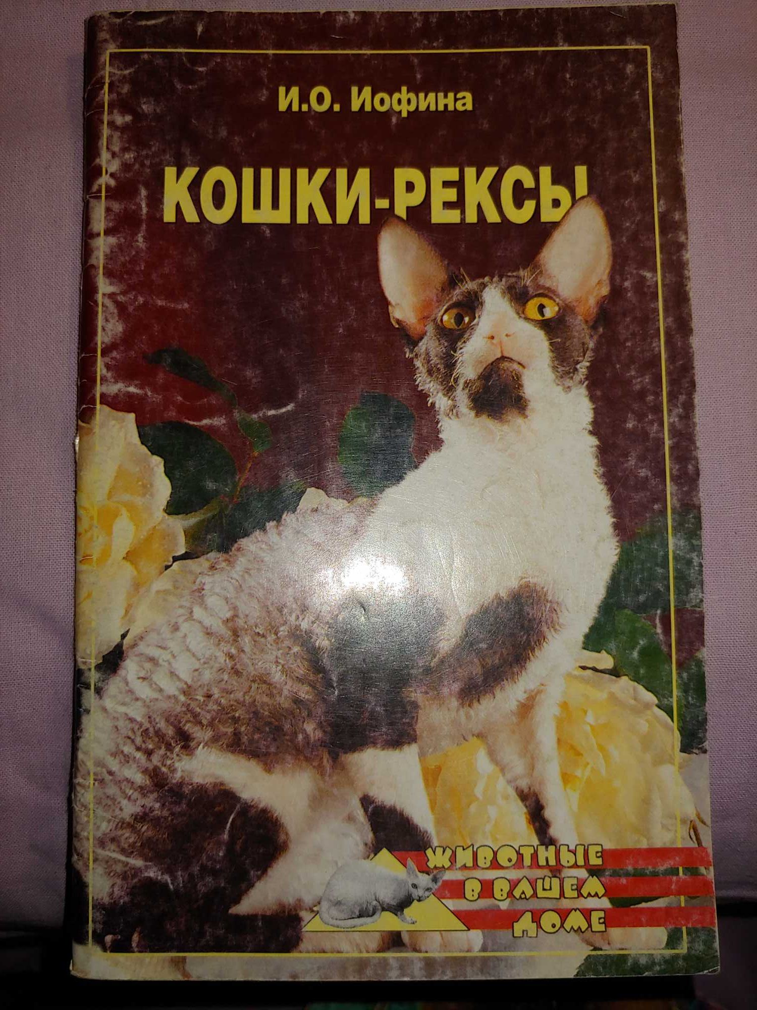 Журнал брошюра о кошках-рексах