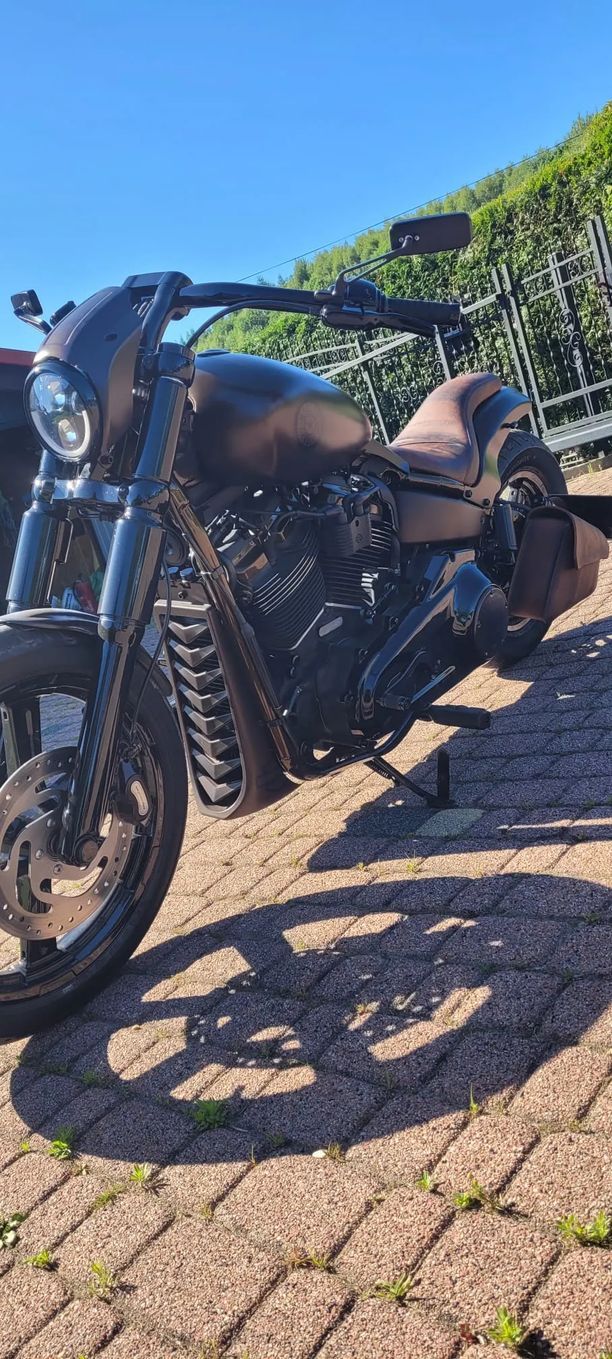 Harley-Davidson Softail Street Bob Harley Davidson street bob 107 Custom