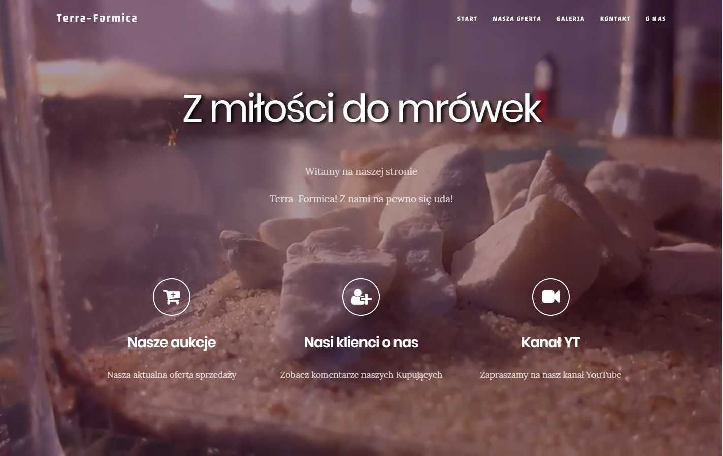 Segment "owal" gniazda dla mrówek