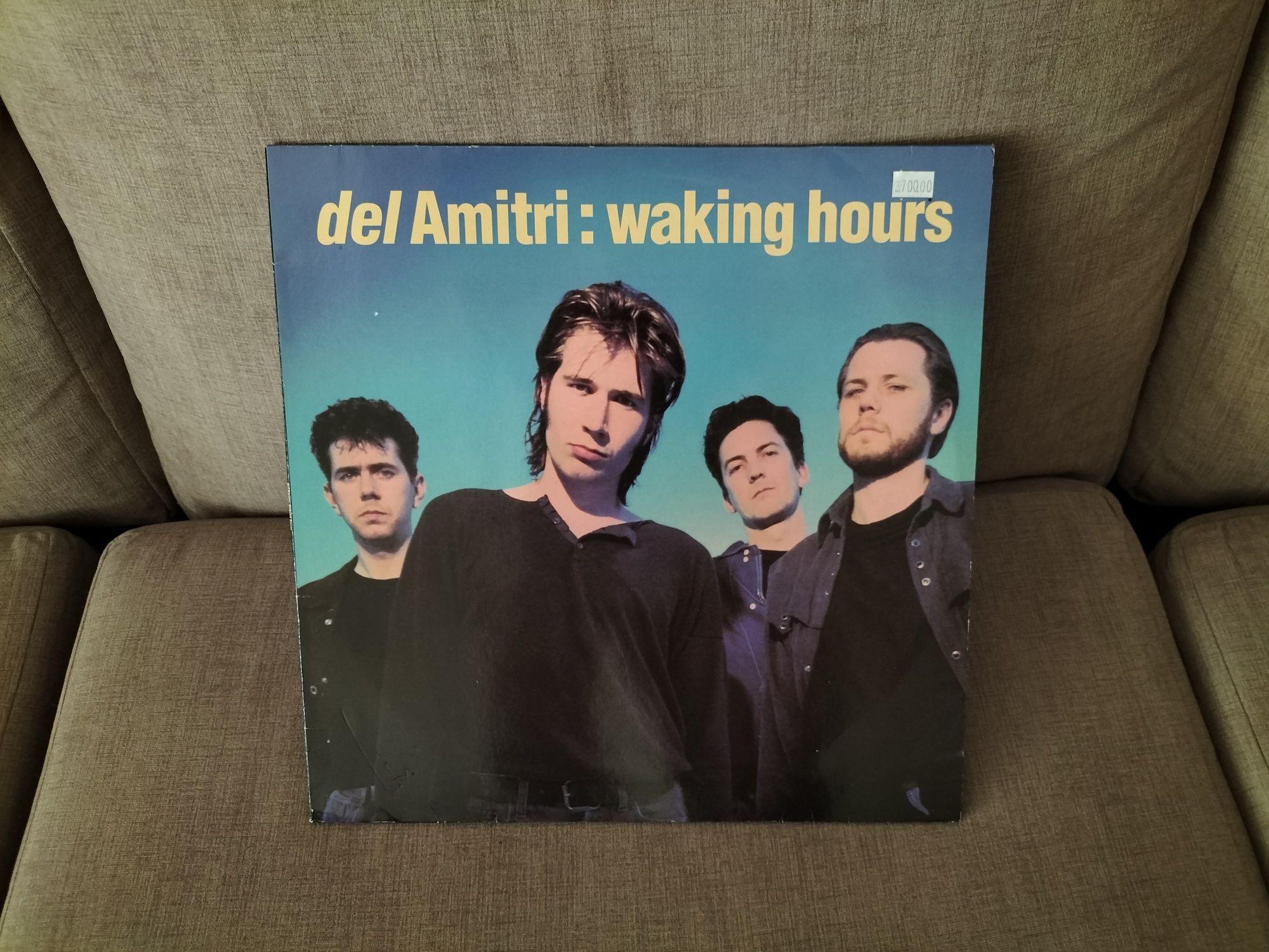 Del Amitri - Waking Hours (LP/Vinil)