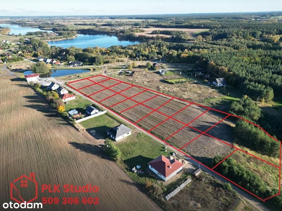 Przestrzeń, las, jezoro