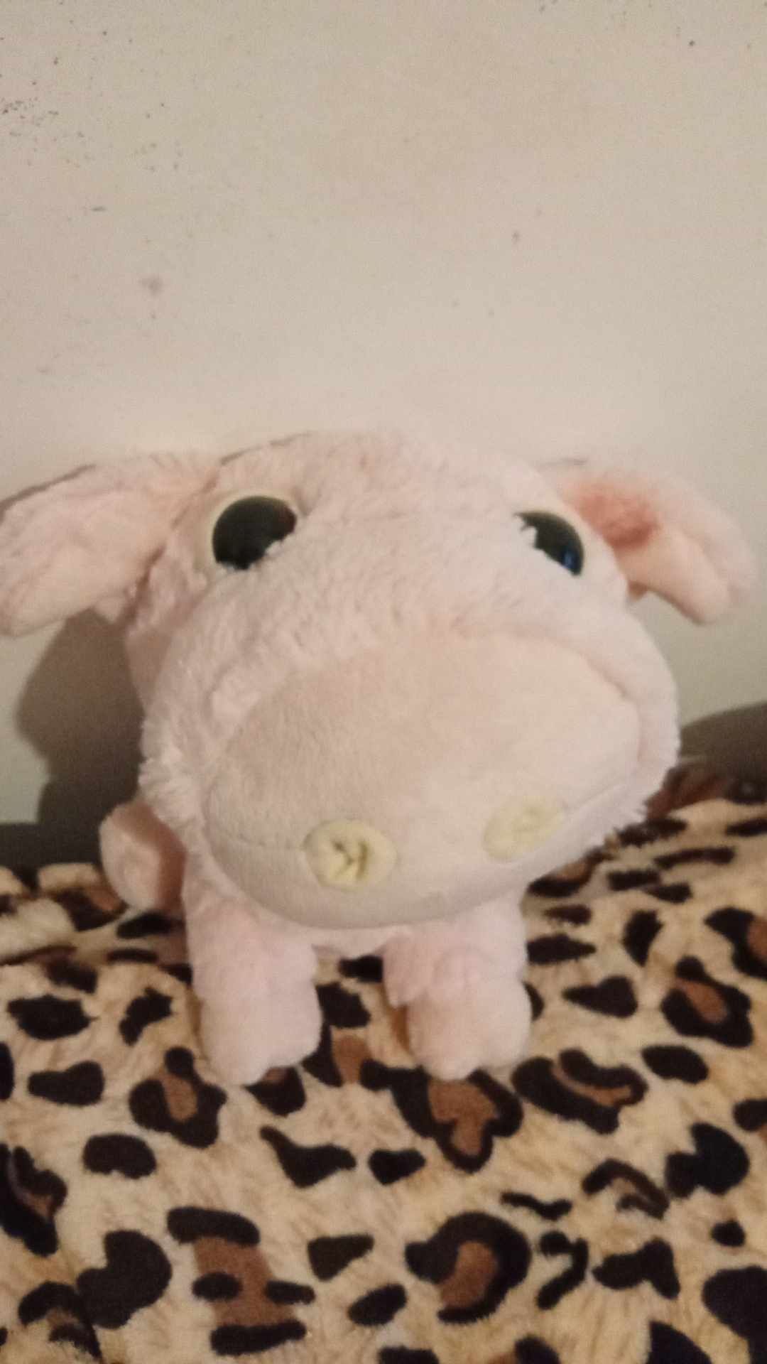 Peluches pequenos