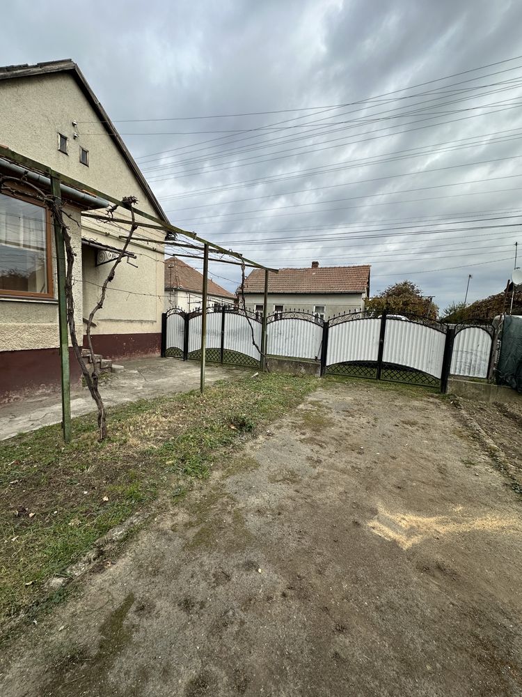 Будинок з великою ділянкою