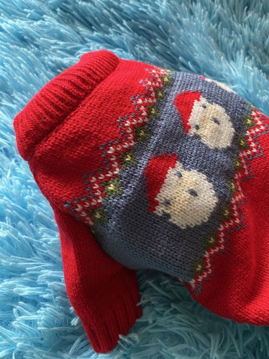 Одяг для маленької собачки