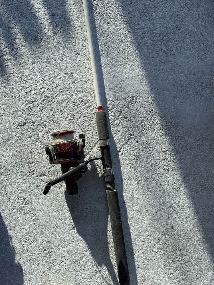 Cana de pesca Ming Pin com carreto