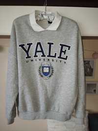 Bluza z kołnierzykiem YALE university Pull & Bear XS S M L