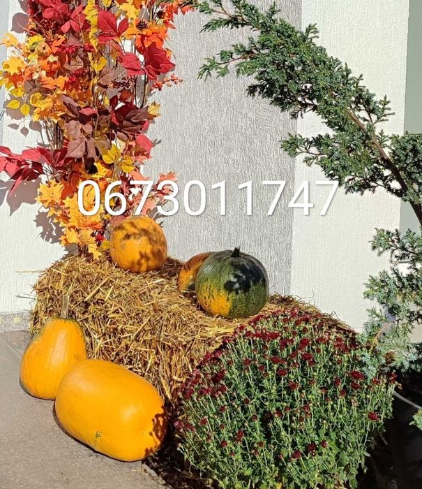 Тюк Гарбуз Львів, Тюки у Львові! Солома/сіно в тюках,  Осінній декор!!