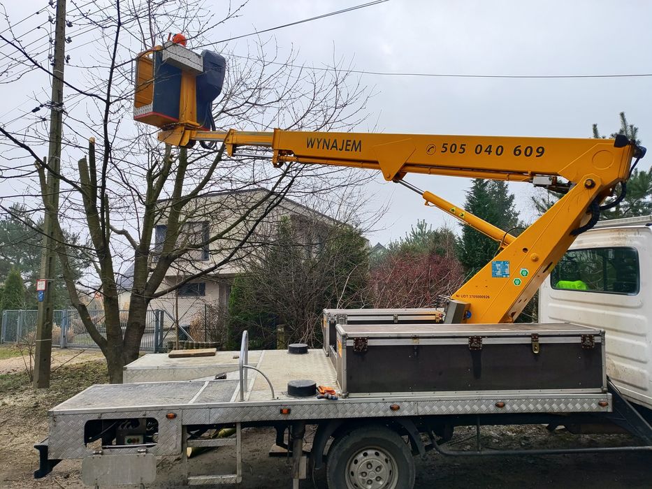 Wycinka, przycinka drzew, rembak!!