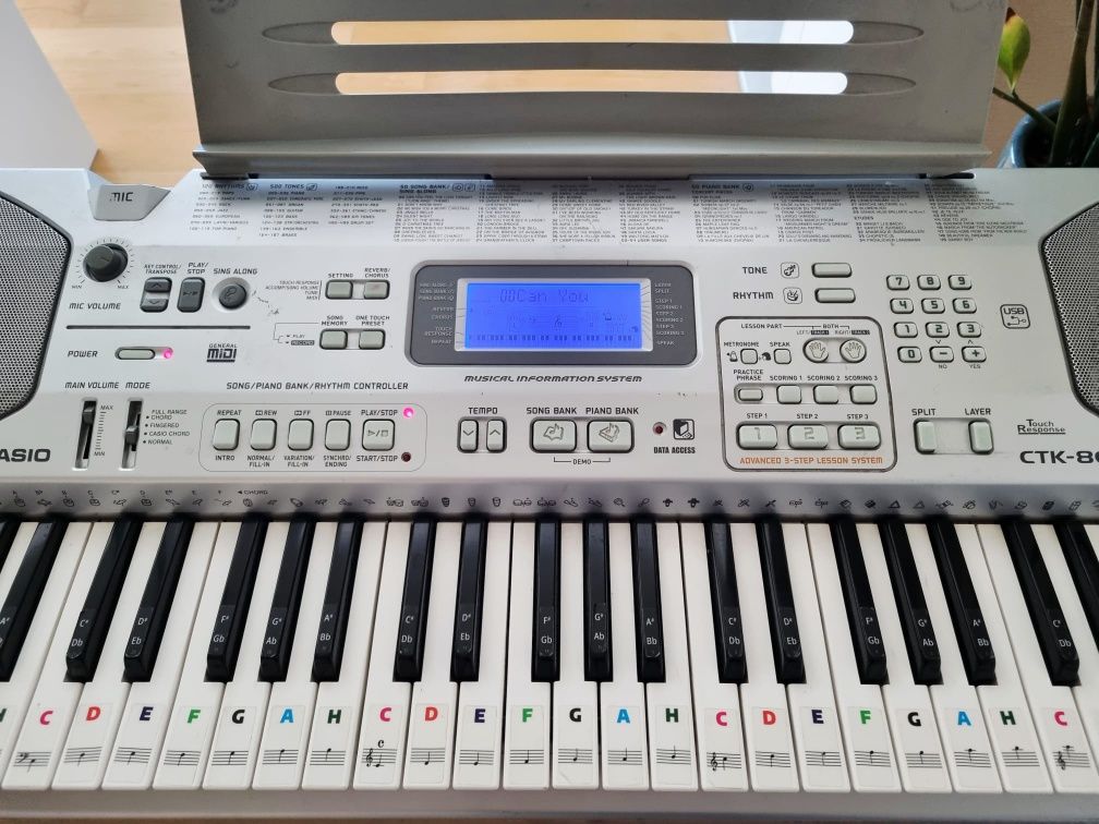 Keyboard CASIO CTK 800