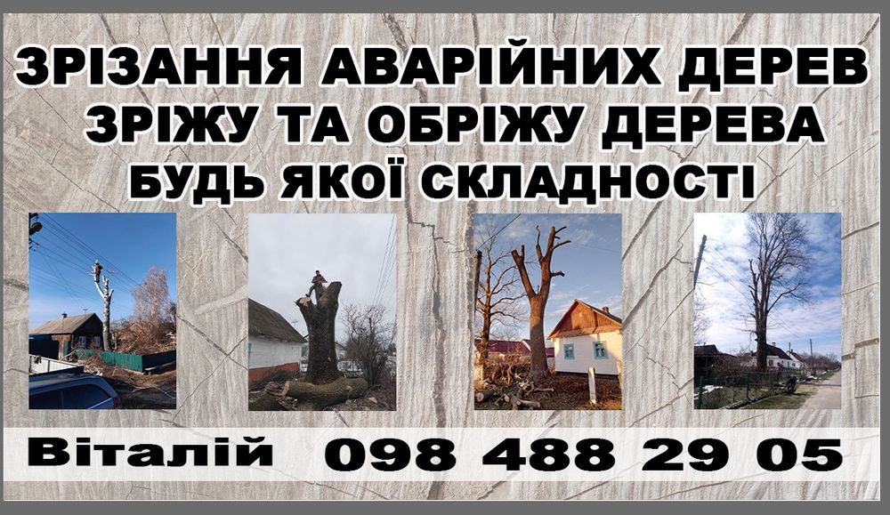 Зрізка аварійних дерев