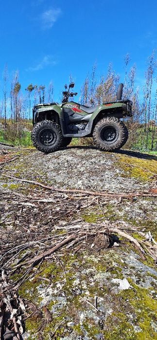 Vendo xwolf 300 FO T3B