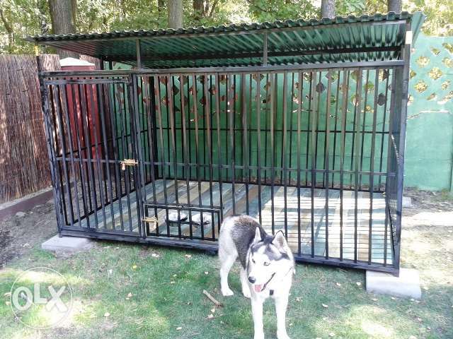 Kojce dla psów MODEL 2025 Kojec dla psa Boks Klatka SZYBKA DOSTAWA 3x2