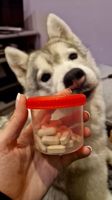 Enzymy trawienne Super Enzymes Now 30szt