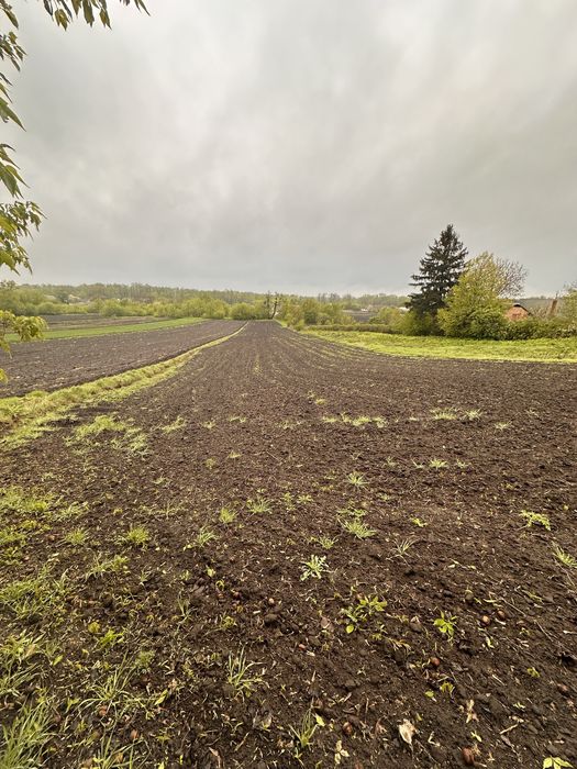 Продаж будинку в селі неподалік Рокитного