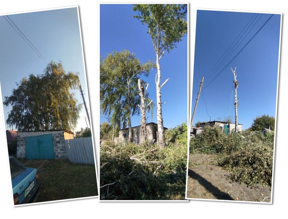 Спил деревьев, обрезка веток...