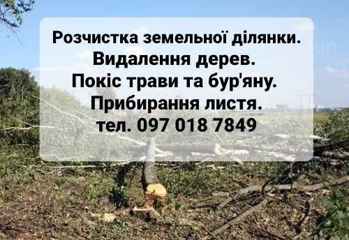 Покіс трави. Стрижка газону