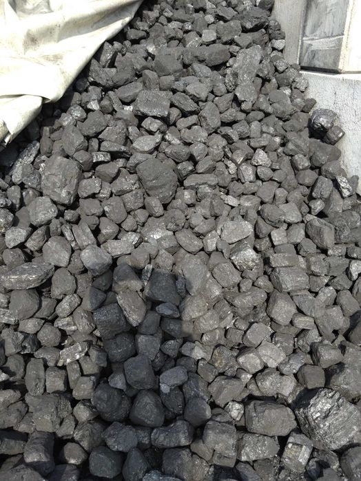 Węgiel Kamienny Kostka Piast PGG 25mj/kg