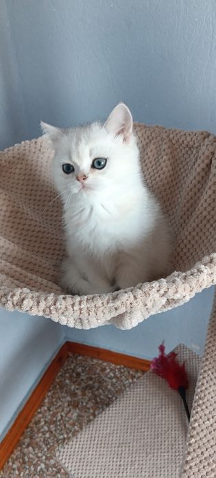 Чекаю тебе моя мамулічка
