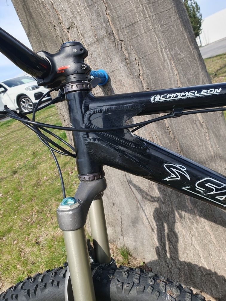 Santa Cruz Chameleon