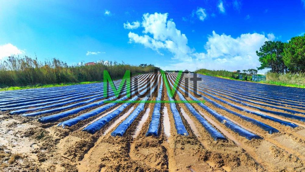 MULVIT -Folia ściółkowa czarna