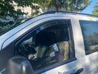 Mercedes Vito W-639 Viano 2003+ ВІТРОВИКИ вставні 2 шт.
