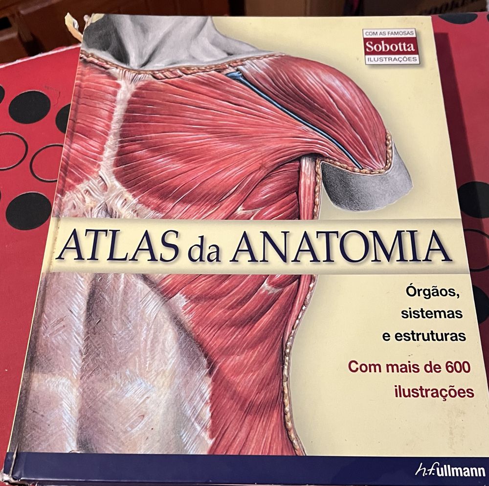 Atlas de anatomia