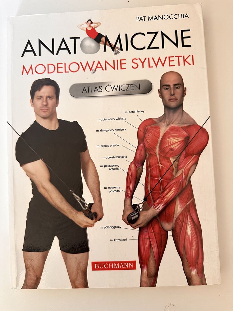 Anatomiczne modelowanie sylwetki