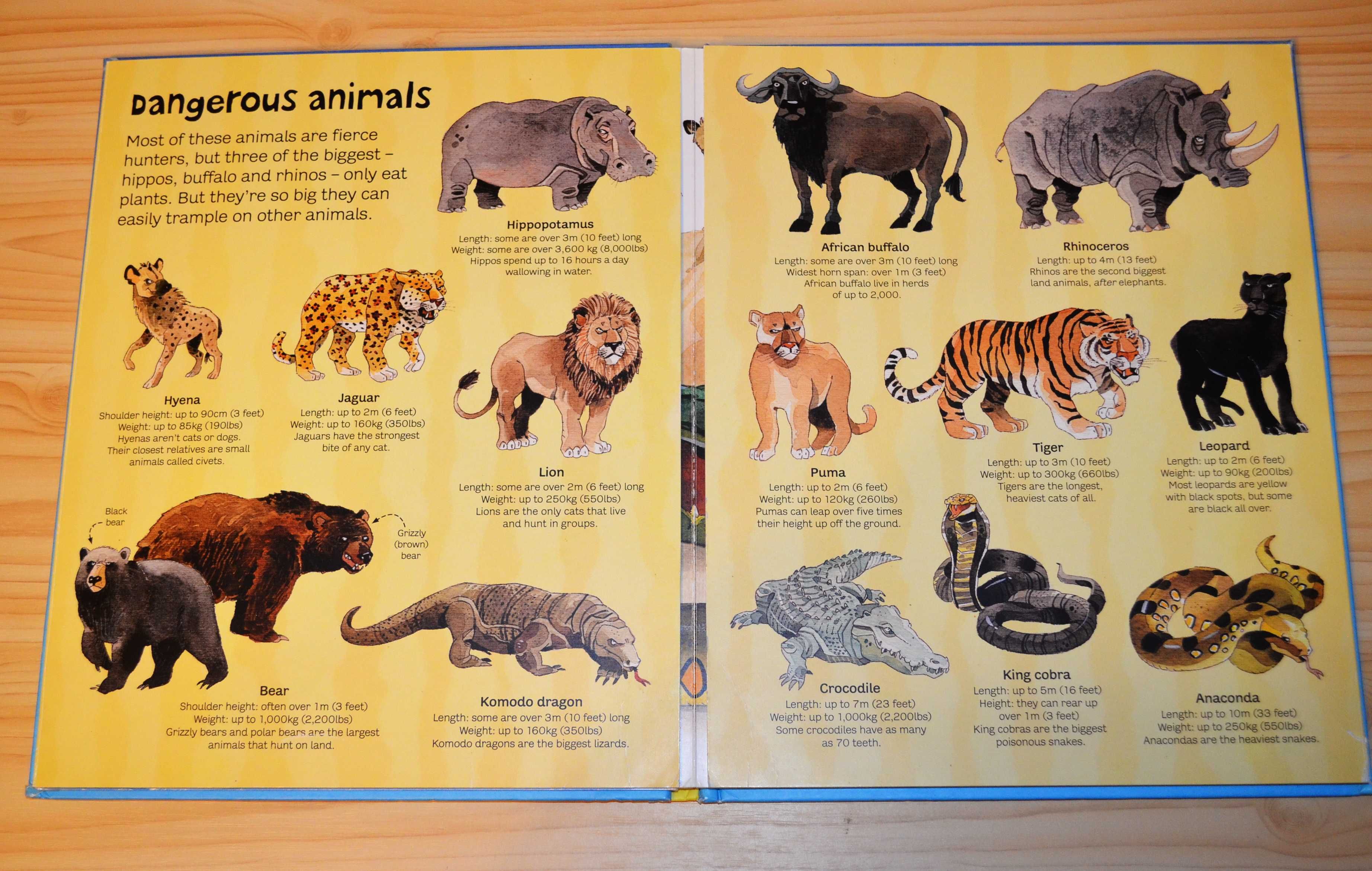 Big book of big animals, дитяча книга англійською
