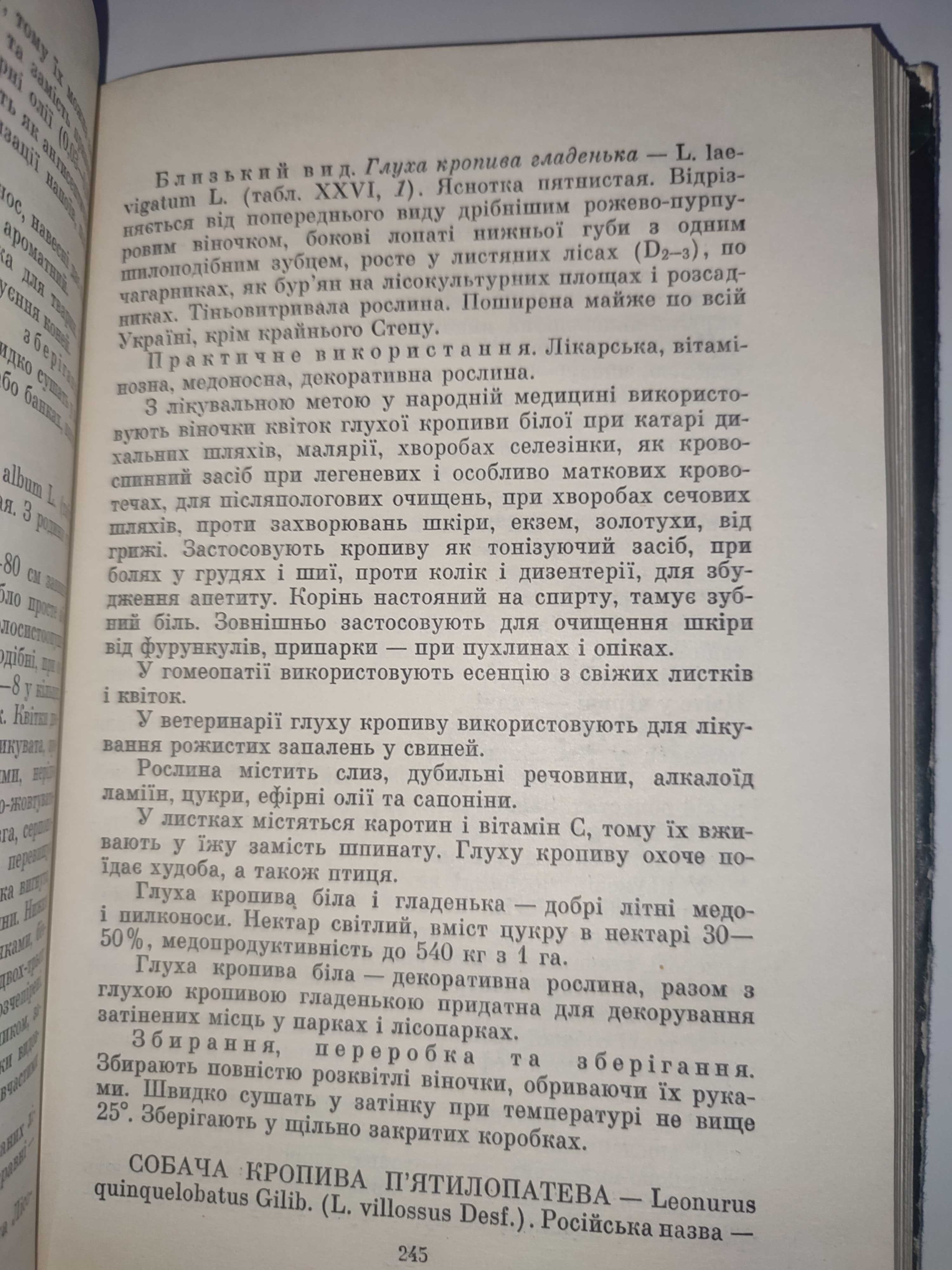 Дари лісів Лікарські рослини Лекарственные растения