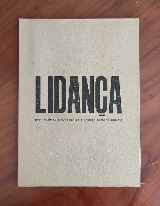 Abílio José-Santos (22 títulos)