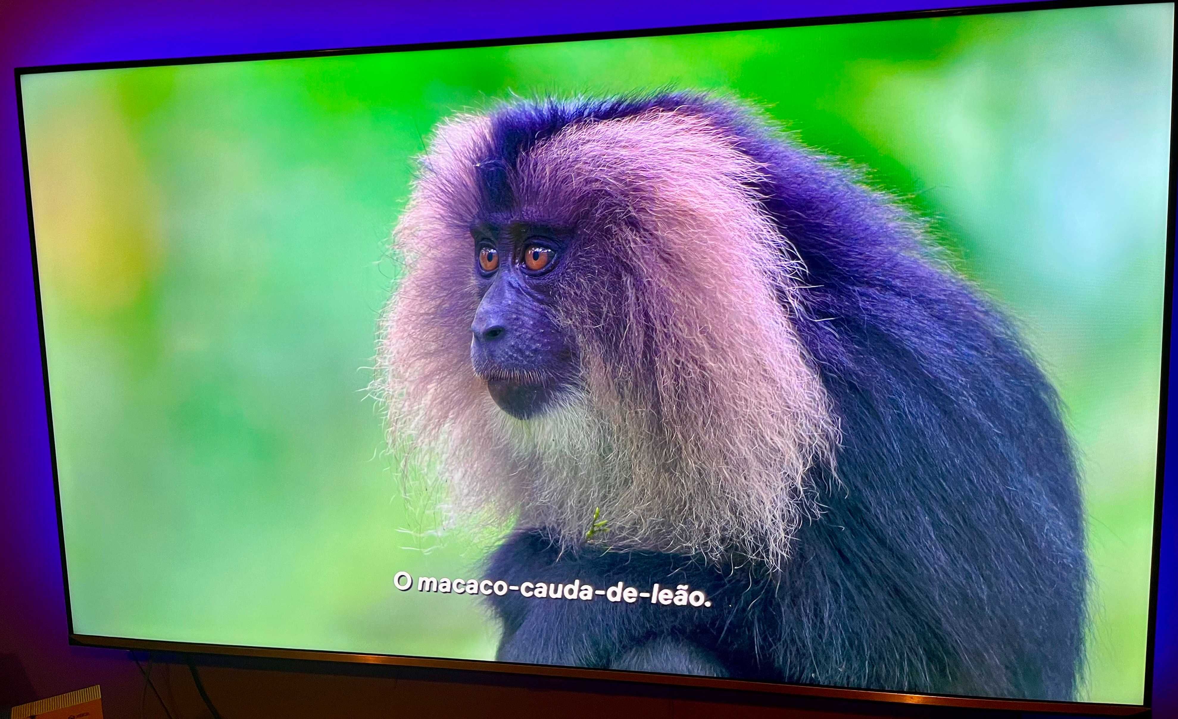 TV Hisense 4K de 65 polegadas U7QF c\ 3 anos garantia