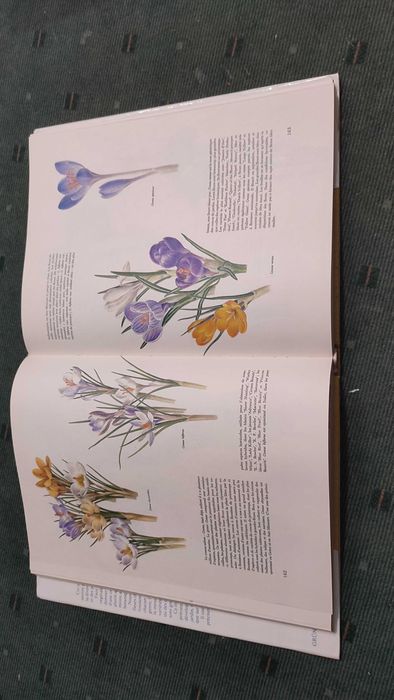 Jardins Fleuris 451 Ilustratiosn en Couleurs