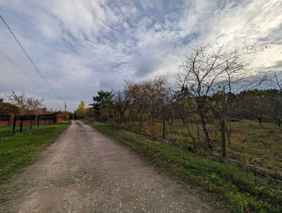 продаж ділянки під будівництво с.Посіч біля лісу