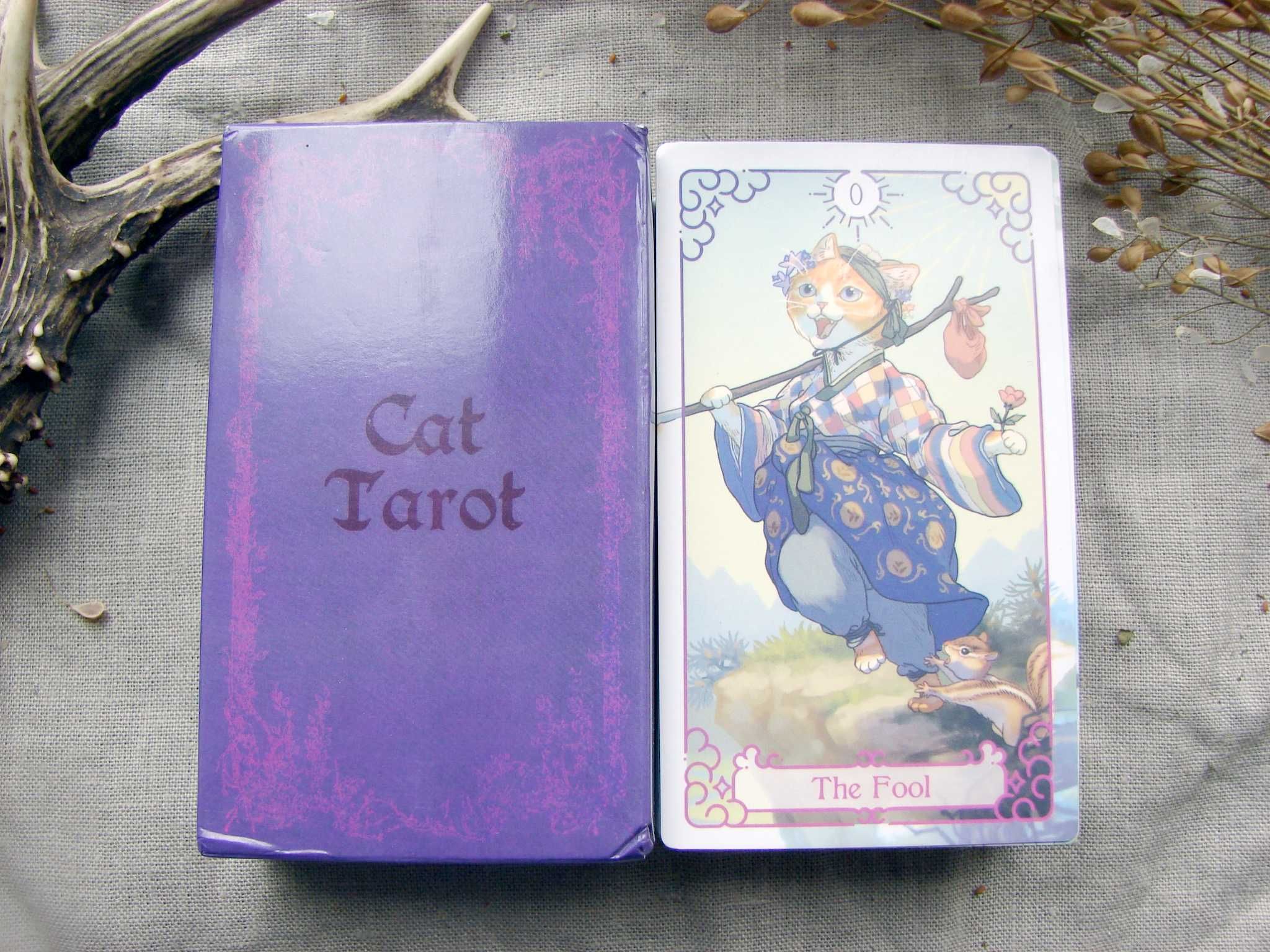 Гадальні карти таро котів cat tarot таро з котами