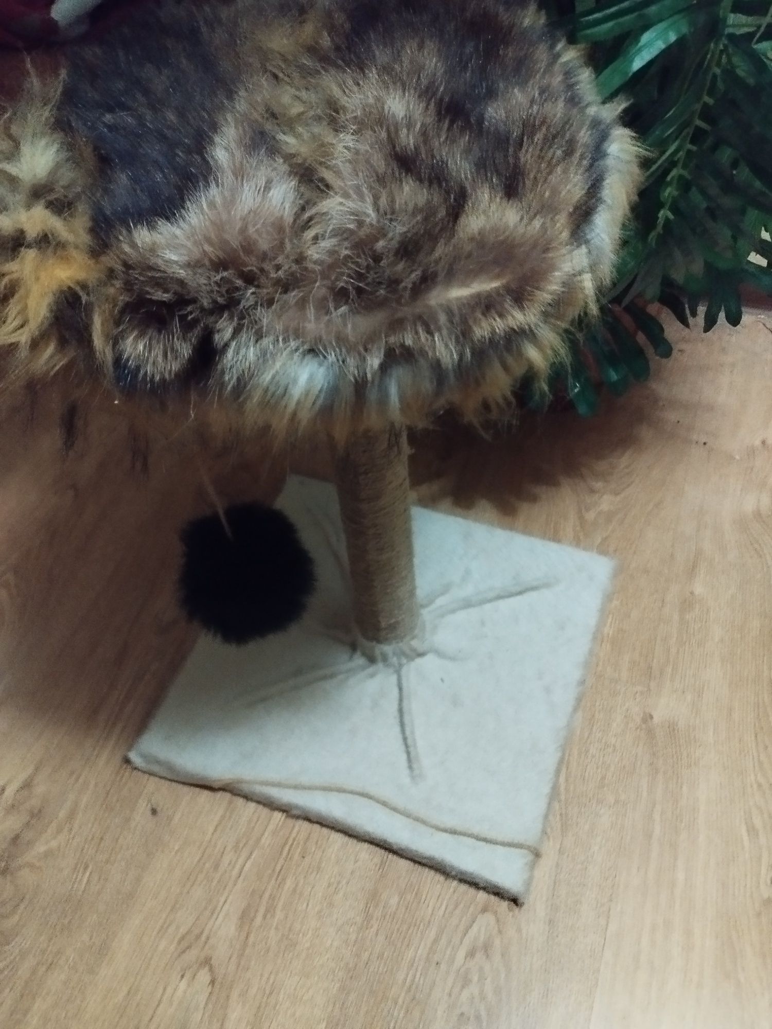 Котодрапка для котиків