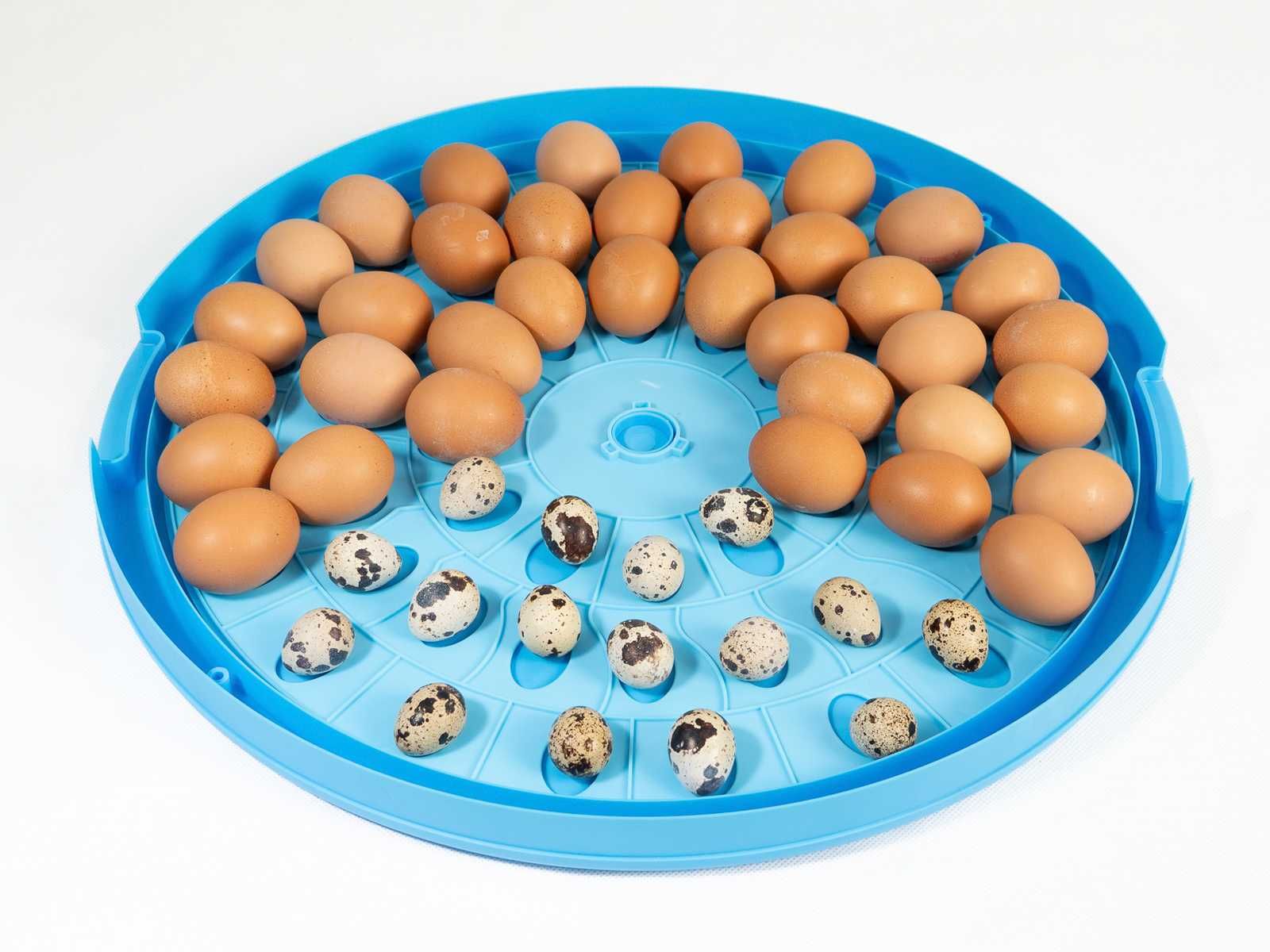 INKUBATOR AUTOMATYCZNY wylęgarka klujnik na 52 jaja _ każdy rodzaj JAJ