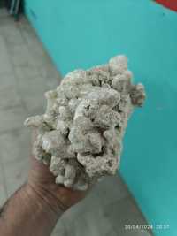 Vendo rocha de coral para aquários