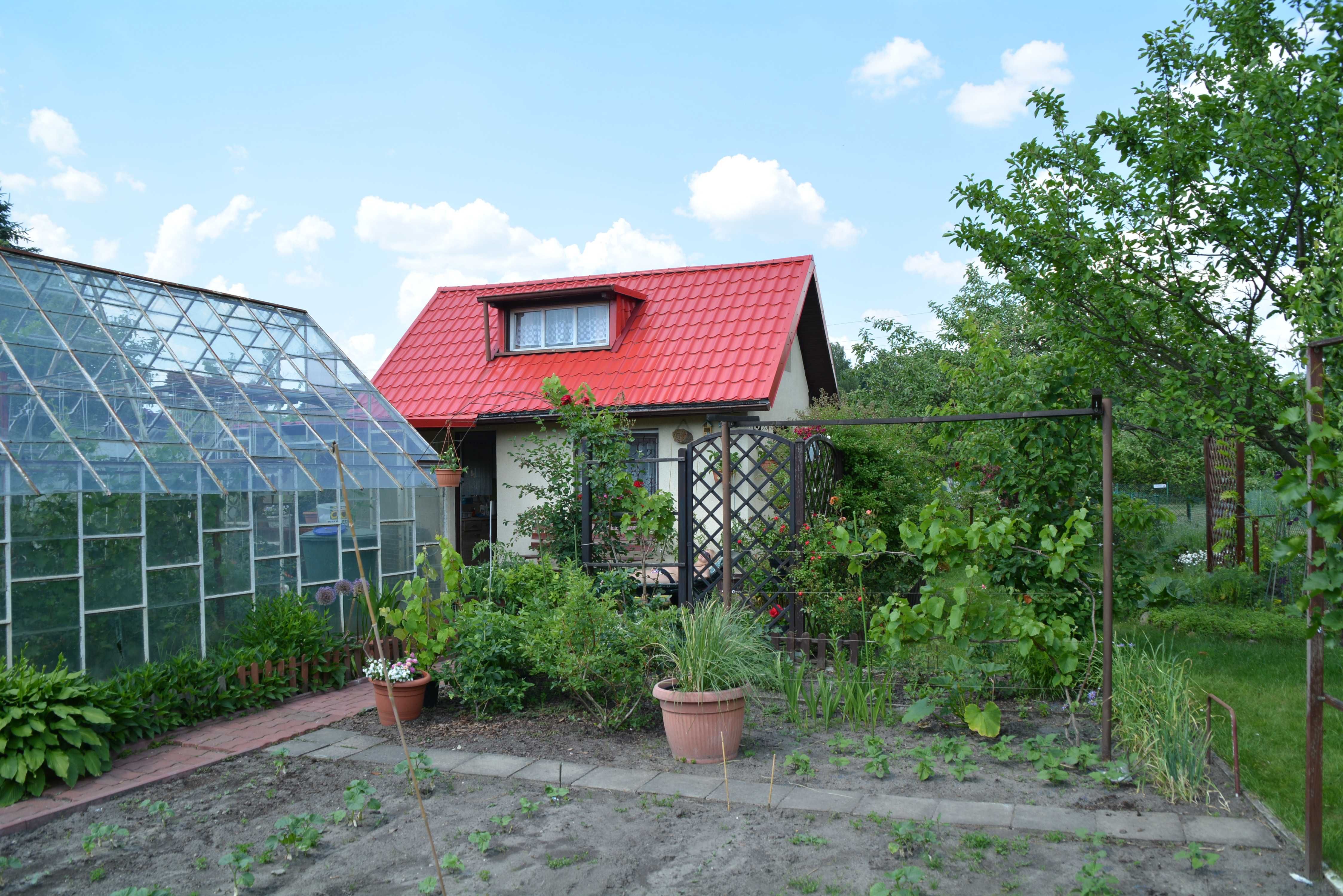 Działka ROD Szczecin "WIARUS"