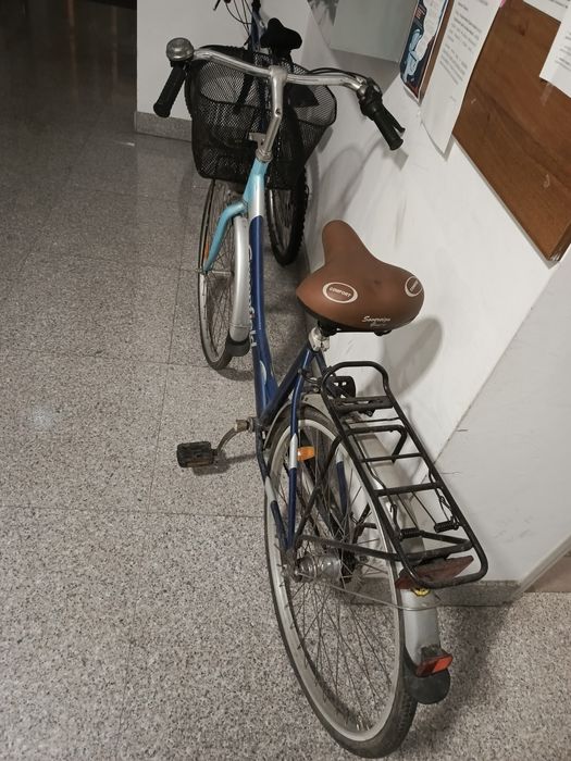 Rower damski GREENFIELD