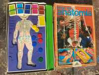 Jogo antigo da Majora Anatomia