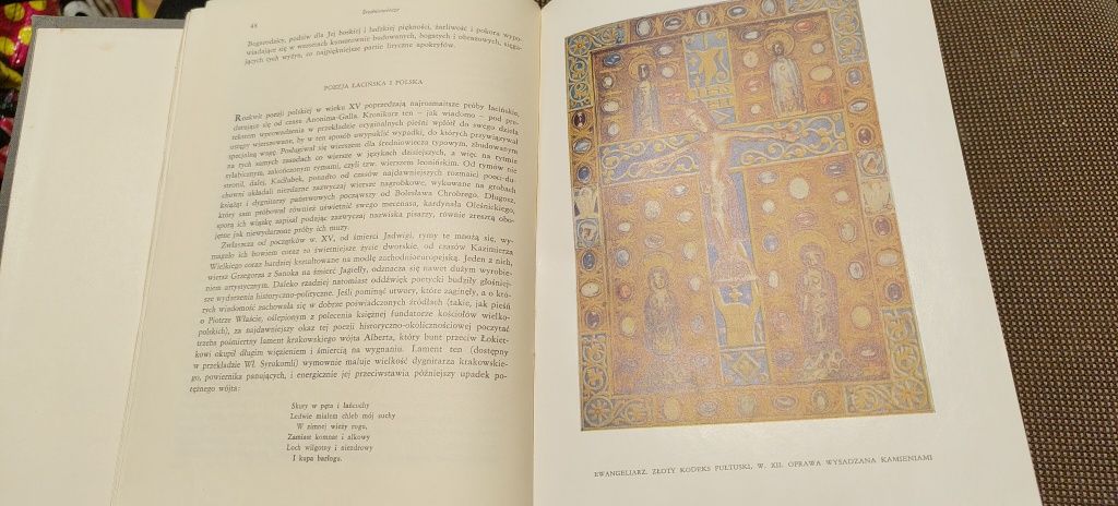 Julian Krzyżanowski Historia literatury polskiej