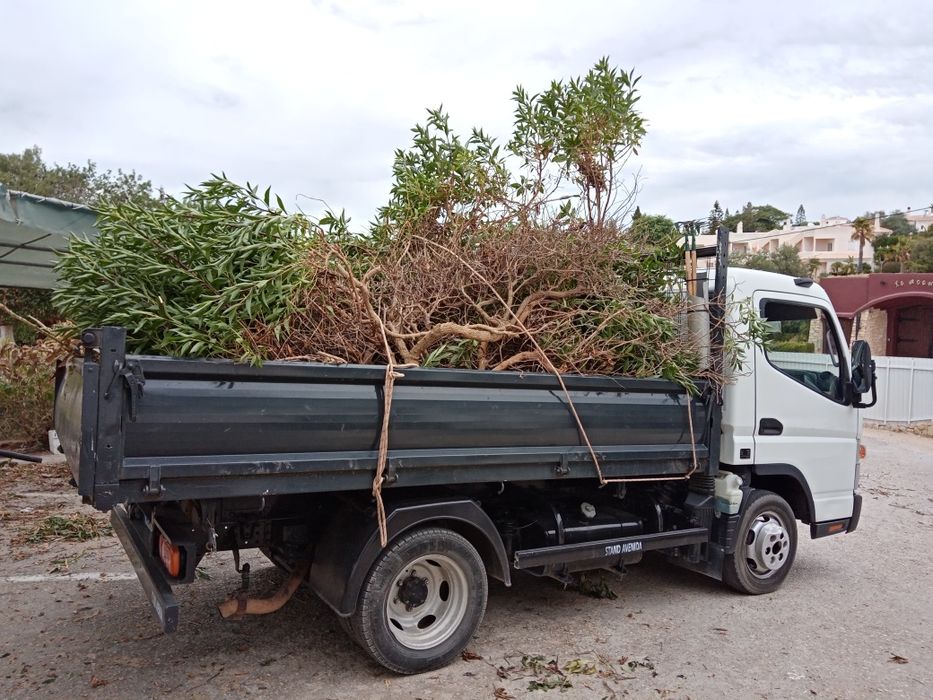 Transporte fret Algarve