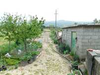 Terreno Rústico / Seia, Pinhanços