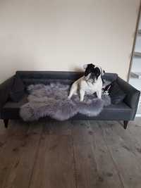 Sofa legowisko dla psa kota