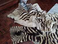 Dois tapetes em pele zebra