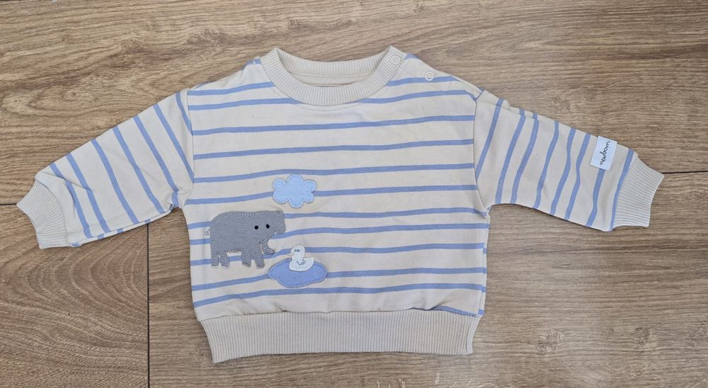 Bluza w niebieski paski